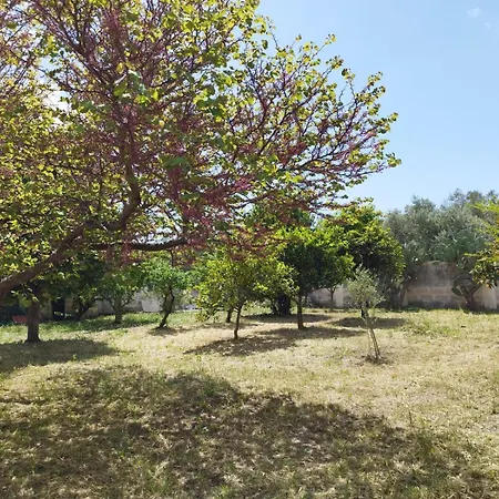 Litta